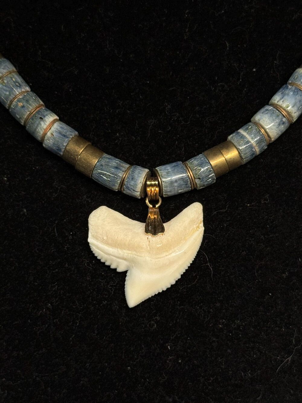 Vintage Blue Coral Heishi Shark Tooth Necklace